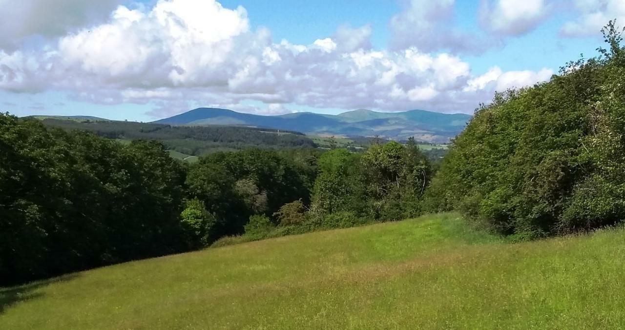 Nire Valley Eco Camp Ballymacarbry Dış mekan fotoğraf